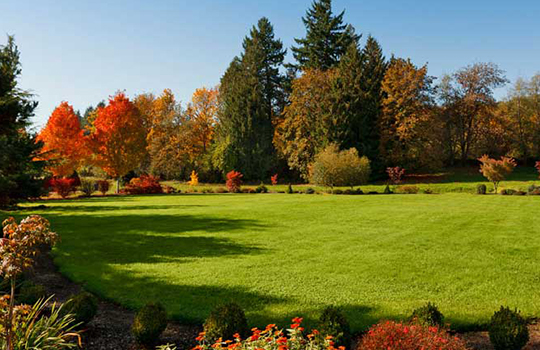 Best landscaping designs Burnaby